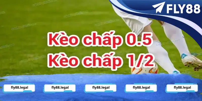 Đôi nét về kèo chấp 0.5 là gì Đôi nét về kèo chấp 0.5 là gì